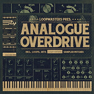 LOOPMASTERS ANALOGUE OVERDRIVE(�I�����C���[�i)(2���Ԉȓ��ɔ[�i) �v���O�C���\�t�g