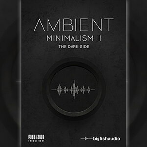 BIG FISH AUDIO yrbOtBbVI[fBIZ[IzAMBIENT MINIMALISM 2 - THE DARK SIDE(IC[i)(2Ԉȓɔ[i) \tgEFA
