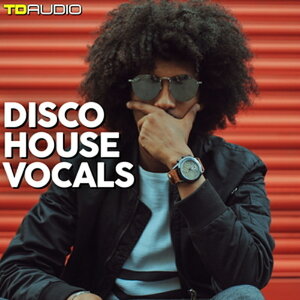 INDUSTRIAL STRENGTH TD AUDIO - DISCO HOUSE VOCALS(IC[i)(2Ԉȓɔ[i) vOC\tg
