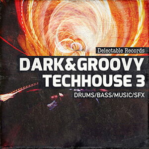 DELECTABLE RECORDS DARK AND GROOVY TECHHOUSE 03(�I�����C���[�i)(2���Ԉȓ��ɔ[�i) �v���O�C���\�t�g