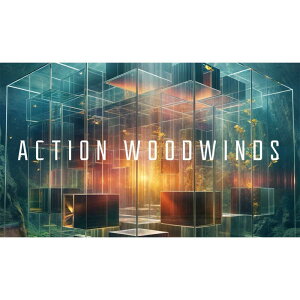 Native Instruments �y�l�C�e�B�u�C���X�g�������cSummer Sale 2026�I�zAction Woodwinds (�E�b�h�E�B���Y)(�I�����C���[�i)(2���Ԉȓ��ɔ[�i) �\�t�g�E�F�A����