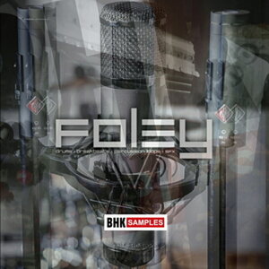INDUSTRIAL STRENGTH BHK SAMPLES - FOLEY DRUMS(IC[i)(2Ԉȓɔ[i) vOC\tg