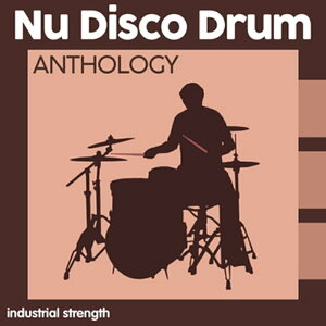 INDUSTRIAL STRENGTH yubNtCf[Z[IzNU DISCO DRUM ANTHOLOGY(IC[i)(2Ԉȓɔ[i) vOC\tg