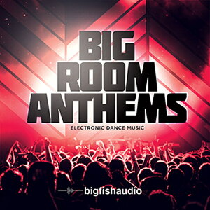 BIG FISH AUDIO yrbOtBbVI[fBIZ[IzBIG ROOM ANTHEMS(IC[i)(2Ԉȓɔ[i) vOC\tg