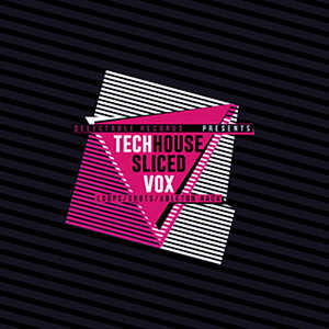 DELECTABLE RECORDS yubNtCf[Z[IzSLICED TECH HOUSE VOX(IC[i)(2Ԉȓɔ[i) vOC\tg