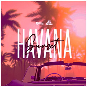BLACK OCTOPUS BASEMENT FREAKS PRESENTS HAVANA SUNSET(IC[i)(2Ԉȓɔ[i) vOC\tg