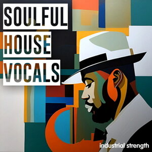 INDUSTRIAL STRENGTH ISR - SOULFUL HOUSE VOCALS(�I�����C���[�i)(2���Ԉȓ��ɔ[�i) �v���O�C���\�t�g