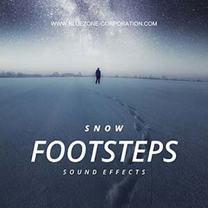 BLUEZONE SNOW FOOTSTEPS SOUND EFFECTS(IC[i)(2Ԉȓɔ[i) vOC\tg