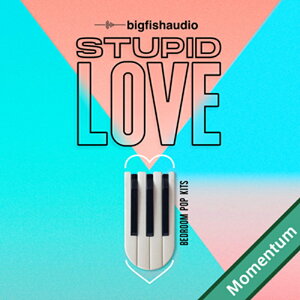 BIG FISH AUDIO �y�r�b�O�t�B�b�V���I�[�f�B�I�X�v�����O�Z�[���I�zSTUPID LOVE - BEDROOM POP KITS MMT(�I�����C���[�i)(2���Ԉȓ��ɔ[�i) �v���O�C���\�t�g