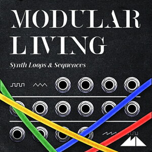 MODEAUDIO MODULAR LIVING(�I�����C���[�i)(2���Ԉȓ��ɔ[�i) �v���O�C���\�t�g