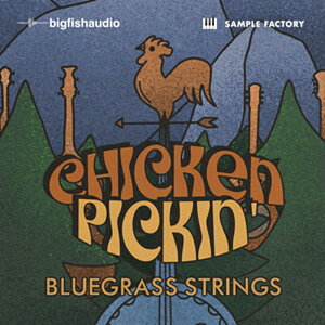 BIG FISH AUDIO CHICKEN PICKIN'- BLUEGRASS STRINGS(IC[i)(2Ԉȓɔ[i) vOC\tg
