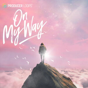 PRODUCER LOOPS ON MY WAY(�I�����C���[�i)(2���Ԉȓ��ɔ[�i) �v���O�C���\�t�g