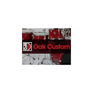 BFD BFD Oak Custom (r[GtfB[)(h)(IC[i)(2Ԉȓɔ[i) \tgEFA