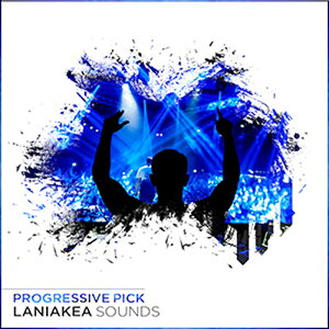 LANIAKEA SOUNDS PROGRESSIVE PICK(IC[i)(2Ԉȓɔ[i) vOC\tg