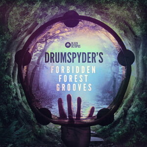 BLACK OCTOPUS DRUMSPYDER'S FORBIDDEN FOREST GROOVES(IC[i)(2Ԉȓɔ[i) vOC\tg