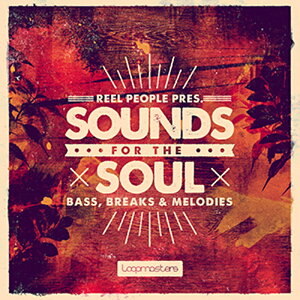 LOOPMASTERS REEL PEOPLE PRESENTS SOUNDS FOR THE SOUL(�I�����C���[�i)(2���Ԉȓ��ɔ[�i) �v���O�C���\�t�g
