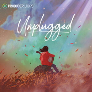 PRODUCER LOOPS UNPLUGGED(オンライン納品)(2時間以内に納品) プラグインソフト