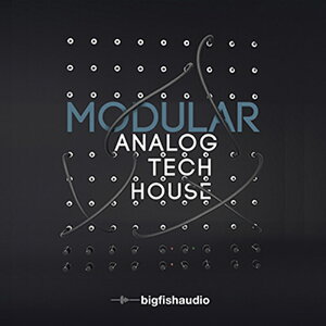 BIG FISH AUDIO MODULAR ANALOG TECH HOUSE(IC[i)(2Ԉȓɔ[i) vOC\tg