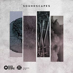 BLACK OCTOPUS SOUNDSCAPES BY AK(�I�����C���[�i)(2���Ԉȓ��ɔ[�i) �v���O�C���\�t�g