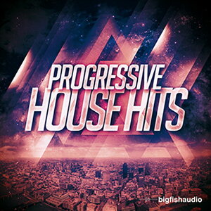 BIG FISH AUDIO PROGRESSIVE HOUSE HITS(�I�����C���[�i)(2���Ԉȓ��ɔ[�i) �v���O�C���\�t�g