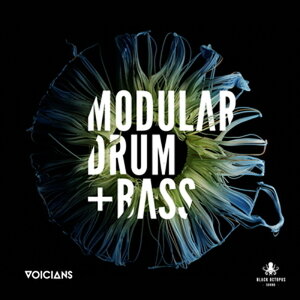 BLACK OCTOPUS VOICIANS - MODULAR DNB(IC[i)(2Ԉȓɔ[i) vOC\tg