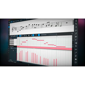 Steinberg Dorico Pro 6 (���ʍ쐬�\�t�g)(�X�^�C���o�[�O)(�h���R)(DTM)(�I�����C���[�i)(2���Ԉȓ��ɔ[�i) DAW�\�t�g