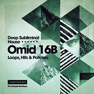 LOOPMASTERS OMID 16B - DEEP SUBLIMINAL HOUSE(オンライン納品)(2時間以内に納品) プラグインソフト