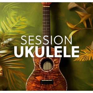 Native Instruments Session Ukulele (�E�N����)(�n���C�A��)(�I�����C���[�i)(2���Ԉȓ��ɔ[�i) �\�t�g�E�F�A����