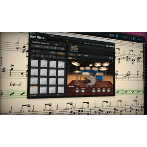 Steinberg Dorico Elements 6 (ʍ쐬\tg)(X^Co[O)(hR)(DTM)(IC[i)(2Ԉȓɔ[i) DAW\tg