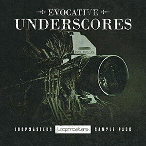 LOOPMASTERS EVOCATIVE UNDERSCORES(IC[i)(2Ԉȓɔ[i) vOC\tg