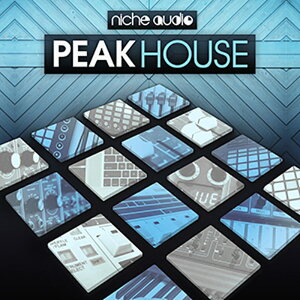 NICHE AUDIO PEAK HOUSE ABLETON(�I�����C���[�i)(2���Ԉȓ��ɔ[�i) �v���O�C���\�t�g