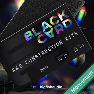 BIG FISH AUDIO BLACK CARD - R&B CONSTRUCTION KITS(IC[i)(2Ԉȓɔ[i) vOC\tg