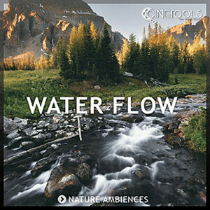 CINETOOLS WATER FLOW(�I�����C���[�i)(2���Ԉȓ��ɔ[�i) �v���O�C���\�t�g
