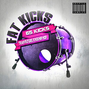 KRYPTIC SAMPLES FAT KICKS(�I�����C���[�i)(2���Ԉȓ��ɔ[�i) �v���O�C���\�t�g