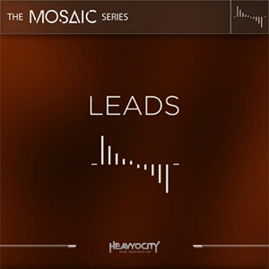 HEAVYOCITY MOSAIC LEADS(IC[i)(2Ԉȓɔ[i) \tgEFA