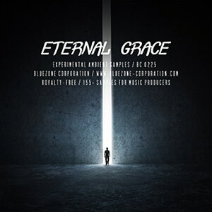 BLUEZONE ETERNAL GRACE - EXPERIMENTAL AMBIENT SAMPLES(IC[i)(2Ԉȓɔ[i) vOC\tg