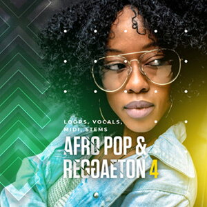 DIGINOIZ AFRO POP & REGGAETON 4(IC[i)(2Ԉȓɔ[i) vOC\tg