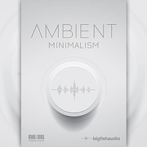 BIG FISH AUDIO AMBIENT MINIMALISM(IC[i)(2Ԉȓɔ[i) \tgEFA