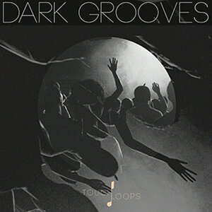 TOUCH LOOPS DARK GROOVES(�I�����C���[�i)(2���Ԉȓ��ɔ[�i) �v���O�C���\�t�g