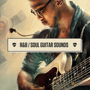 DIGINOIZ R&B / SOUL GUITAR LOOPS(IC[i)(2Ԉȓɔ[i) vOC\tg