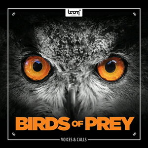 BOOM Library BIRDS OF PREY(IC[i)(2Ԉȓɔ[i) vOC\tg
