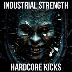 INDUSTRIAL STRENGTH - HARDCORE KICKS(IC[i)(2Ԉȓɔ[i) vOC\tg