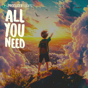 PRODUCER LOOPS ALL YOU NEED(�I�����C���[�i)(2���Ԉȓ��ɔ[�i) �v���O�C���\�t�g