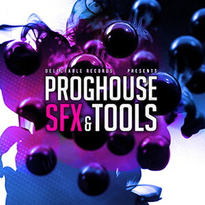 DELECTABLE RECORDS PROGHOUSE SFX & TOOLS(IC[i)(2Ԉȓɔ[i) vOC\tg