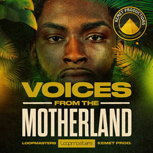 LOOPMASTERS VOICES FROM THE MOTHERLAND(�I�����C���[�i)(2���Ԉȓ��ɔ[�i) �v���O�C���\�t�g