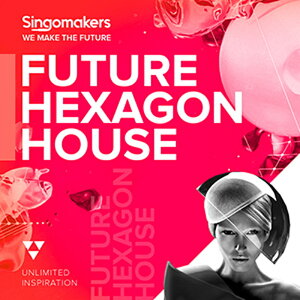 SINGOMAKERS FUTURE HEXAGON HOUSE(�I�����C���[�i)(2���Ԉȓ��ɔ[�i) �v���O�C���\�t�g