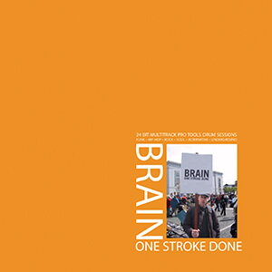 BIG FISH AUDIO yrbOtBbVI[fBIZ[IzBRAIN ONE STROKE DONE(IC[i)(2Ԉȓɔ[i) vOC\tg