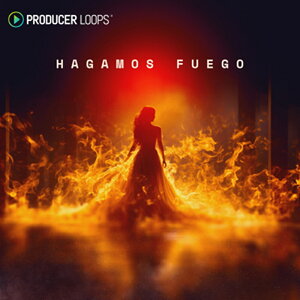 PRODUCER LOOPS HAGAMOS FUEGO(�I�����C���[�i)(2���Ԉȓ��ɔ[�i) �v���O�C���\�t�g