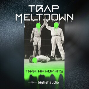 BIG FISH AUDIO TRAP MELTDOWN(IC[i)(2Ԉȓɔ[i) vOC\tg