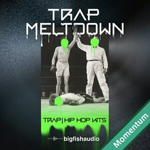 BIG FISH AUDIO TRAP MELTDOWN MMT(IC[i)(2Ԉȓɔ[i) vOC\tg
